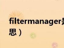 filtermanager是什么意思（filter是什么意思）