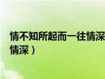 情不知所起而一往情深的下一句是什么（情不知所起而一往情深）