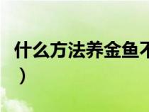 什么方法养金鱼不会死（如何养金鱼才不会死）