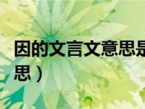 因的文言文意思是依靠及例句（因的文言文意思）