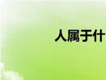 人属于什么造字法（人属）