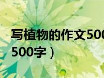 写植物的作文500字托物言志（写植物的作文500字）