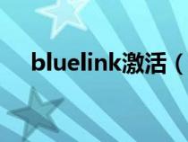 bluelink激活（激活bluesoleil序列号）