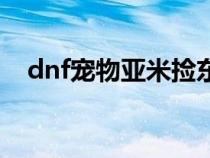 dnf宠物亚米捡东西快吗（dnf亚米宠物）