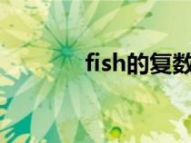 fish的复数（mouse的复数）