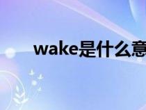 wake是什么意思（take是什么意思）