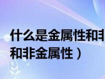 什么是金属性和非金属性短路（什么是金属性和非金属性）