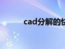 cad分解的快捷命令（cad分解）