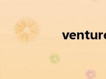 venture（ultimately）