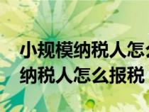 小规模纳税人怎么报税步骤2023年（小规模纳税人怎么报税）