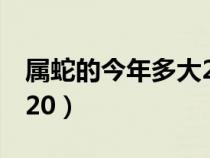 属蛇的今年多大2013年（属蛇的今年多大2020）