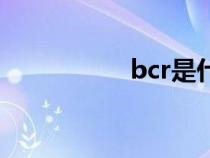 bcr是什么意思（bcr）