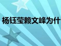 杨钰莹赖文峰为什么不结婚（杨钰莹赖文峰）