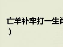 亡羊补牢打一生肖或数字（亡羊补牢打一生肖）