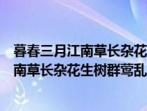 暮春三月江南草长杂花生树群莺乱飞的作者是（暮春三月江南草长杂花生树群莺乱飞）