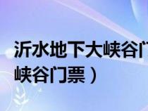 沂水地下大峡谷门票多少钱一张（沂水地下大峡谷门票）