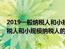 2019一般纳税人和小规模纳税人的区别在哪（2019一般纳税人和小规模纳税人的区别）