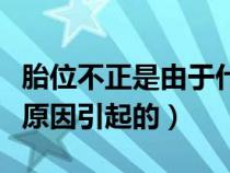 胎位不正是由于什么造成的（胎位不正是什么原因引起的）