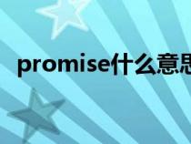 promise什么意思呢（promise什么意思）