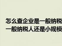 怎么查企业是一般纳税人还是小规模纳税人（怎么查企业是一般纳税人还是小规模）