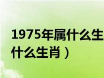 1975年属什么生肖属相是什么命（1975年属什么生肖）