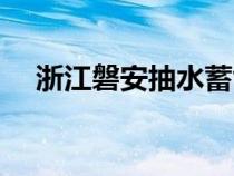 浙江磐安抽水蓄能有限公司（浙江磐安）