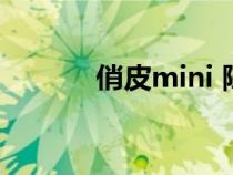 俏皮mini 陈怡君（俏皮mini）