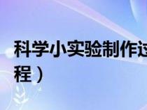 科学小实验制作过程图片（科学小实验制作过程）