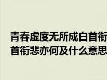 青春虚度无所成白首衔悲补何及的意思（青春虚度无所成白首衔悲亦何及什么意思）