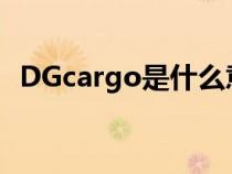 DGcargo是什么意思（cargo是什么意思）