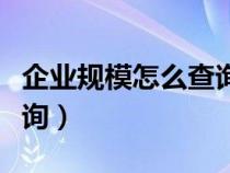 企业规模怎么查询个人信息（企业规模怎么查询）