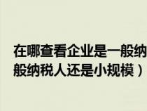 在哪查看企业是一般纳税人还是小规模（怎么查询企业是一般纳税人还是小规模）