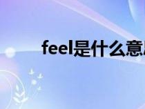 feel是什么意思（feet是什么意思）