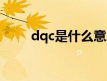 dqc是什么意思（dqa是什么意思）