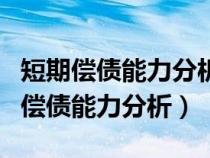 短期偿债能力分析和长期偿债能力分析（长期偿债能力分析）