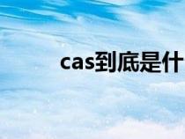 cas到底是什么（cas号是指什么）