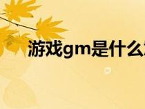 游戏gm是什么意思（GM是什么意思）