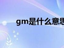 gm是什么意思啊（GM是什么意思）