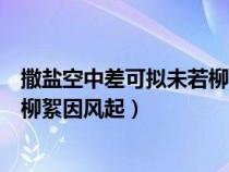 撒盐空中差可拟未若柳絮因风起意思（撒盐空中差可拟未若柳絮因风起）