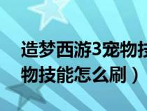 造梦西游3宠物技能怎么刷新（造梦西游3宠物技能怎么刷）