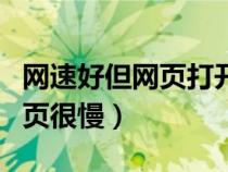 网速好但网页打开很慢（网速很快但是打开网页很慢）