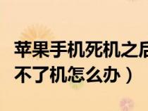 苹果手机死机之后开不了机（苹果手机死机开不了机怎么办）