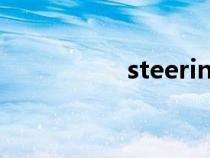 steering翻译（steer）