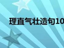 理直气壮造句10字左右（理直气壮造句）