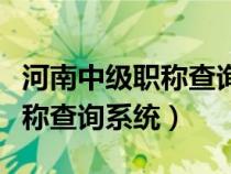 河南中级职称查询系统官方网站（河南中级职称查询系统）