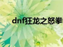 dnf狂龙之怒拳套外观（dnf狂龙之怒）