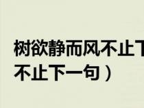 树欲静而风不止下一句是什么话（树欲静而风不止下一句）