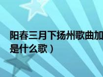 阳春三月下扬州歌曲加歌词（歌词中带有阳春三月下扬州的是什么歌）