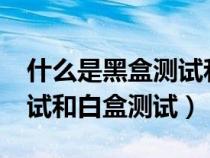 什么是黑盒测试和白盒测试?（什么是黑盒测试和白盒测试）