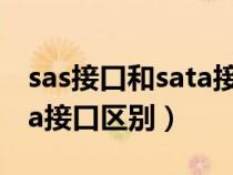 sas接口和sata接口外观区别（sas接口和sata接口区别）